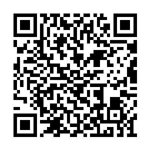 暗红色的精血和淡金色的光团从安雅琳体内排出二维码生成