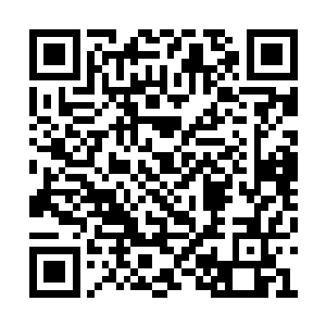 暗道金仙实力果然远远不是天仙修为可以抵挡的二维码生成