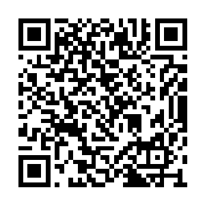 暮光审判的人始终在坚守着人类的最后一道底线二维码生成