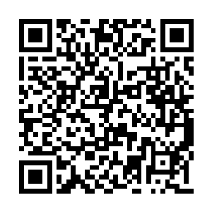 暴甲龙的脑袋瞬间像是充足了气的气球一样膨胀二维码生成