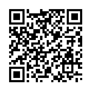 曲书记和鲍局长暂时都还回来不了二维码生成