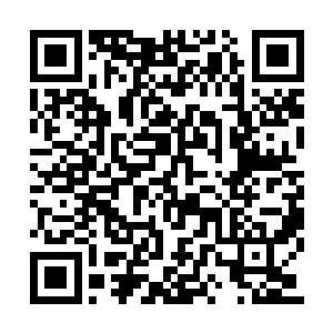 曲承泽今儿就要让这少女知道花儿为什么这么红二维码生成