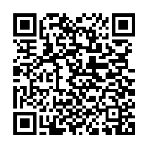 曲承泽和夜染两人此时坐在的这座山峰也至少有七八十米的高度二维码生成