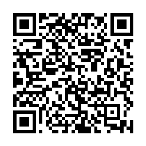 曲承泽和柳非笑白了一眼陷入自我陶醉状态中的卡卡二维码生成