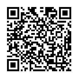曲海洋带领倭国河上株式会社长河上大雄去考察这个稀土矿二维码生成