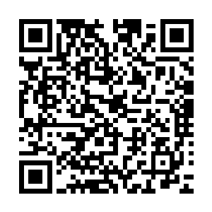 更不会为了一个没用的人浪费这些带人回来的设备与精密仪器二维码生成