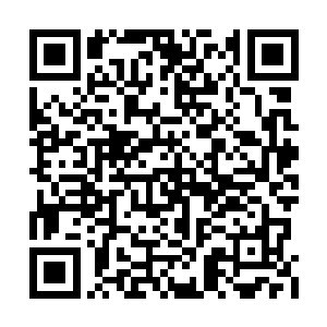 更不会因此而花费大量的时间和金钱来弄养尸池二维码生成