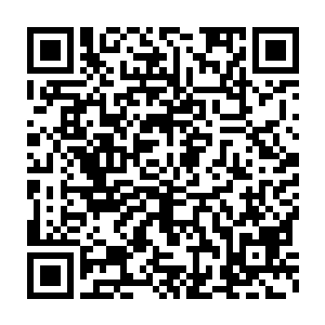 更不会是车子里面那两个被汽车铁片刺穿心肺和腹部的青红帮打手――二维码生成