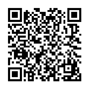 更不可思议的是睿哥儿跟佑哥儿每天坚持练武功写大字二维码生成