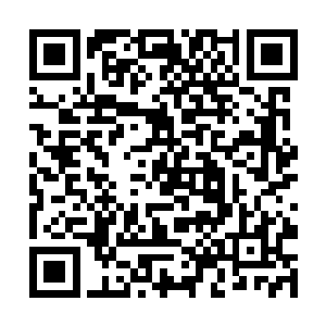 更不消说后来甚至像女人一样耍泼阻止原主继续治病二维码生成