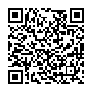 更不用说凌驾在低级不朽血脉之上的中级不朽血脉二维码生成