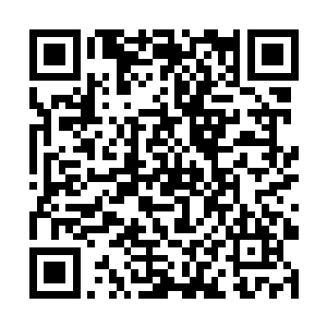 更不用说小白和雪女这两个明显没有城府的小朋友了二维码生成