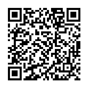 更不用说提点皇城司的张显布置下的多少便装使臣了二维码生成