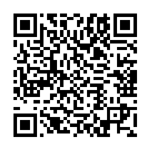 更不知道在黑暗中与我交流的那个声音其实就是斗魔二维码生成