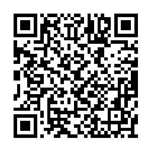 更何况他们还服食了许紫烟炼制的简化版大道丹二维码生成