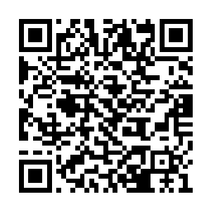 更何况她空间里还有一只实力在她之上的小黑猫二维码生成