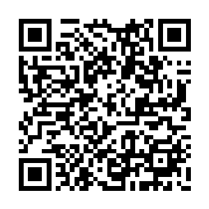 更何况就算想要请教问题又何必鬼鬼祟祟的潜入二维码生成