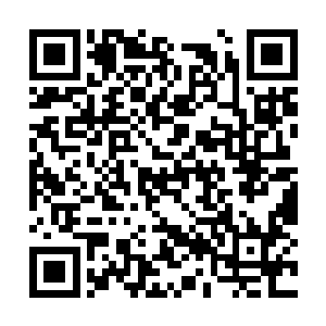 更何况是两个一直被家族中人重点培养的天之骄子二维码生成
