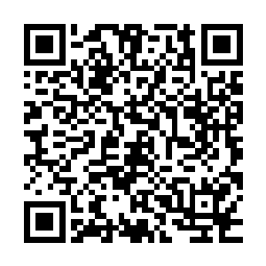 更何况是外面与陈诚等人隔着一面玻璃墙的现场观众和解说员们二维码生成