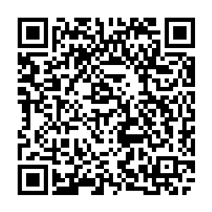 更何况此刻的吴虎臣手中还持有着上古时期都是凶名远扬的强大杀器翻天印了二维码生成