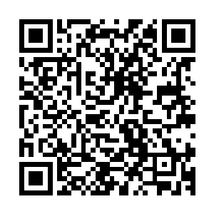 更何况沈迟的个人资料除了上头的几个如今还真没有人查得到二维码生成