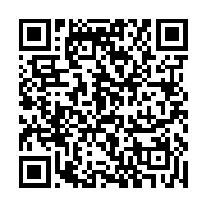 更何况洪大力还是洪家这一代最出色的洪卫国的儿子二维码生成