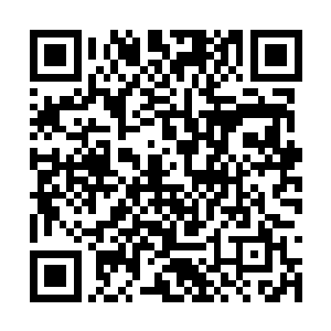 更何况现在四大选帝侯根本抽不出足够强大的武力二维码生成