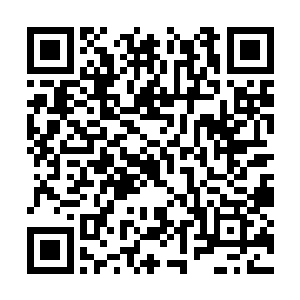 更何况现在的龙宇只是大罗金神大圆满境界的强者二维码生成