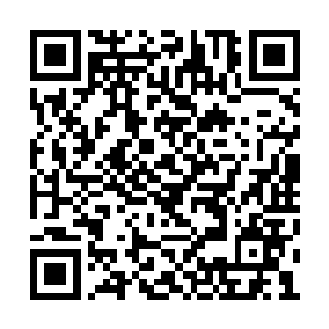 更何况现如今在两个人的围攻之下根本不是对手二维码生成