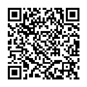 更何况罗炫和陆子离两个人的身份都是非同寻常二维码生成