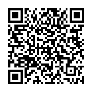 更何况自己现在还把商云他们四个人都给送了回去二维码生成