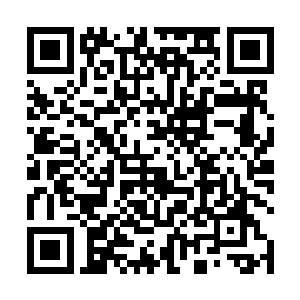 更何况茅楚楚也因为我突然纠正后又犯毛病而忽然变招二维码生成