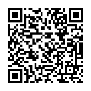 更何况阴影王子和自己前世今生的新仇旧恨海了去了二维码生成