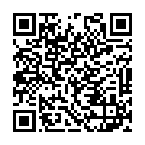 更使人揪心的是仙人的暗手……一旦干涉这次战役二维码生成