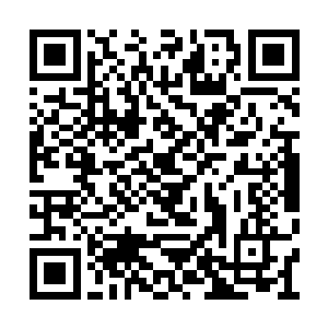 更像是……某种白小鹿生命中从未出现过的角色二维码生成