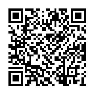 更像是有人在对面放出了一场最恶毒诡异的梦魇二维码生成