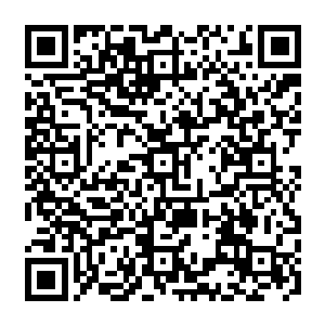 更像是送了秦方一份大礼……只是这个送礼的方式略微让秦方和范晋有点想不到罢了二维码生成