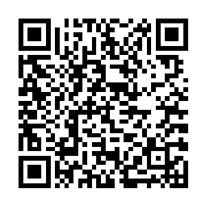 更准确说是在遭受武英奇的自杀式神魂爆炸冲击之前二维码生成