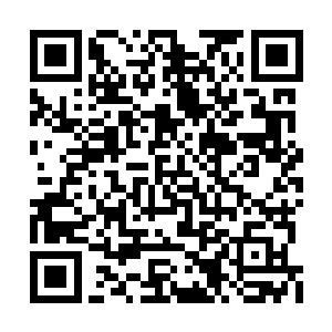 更别提姐姐本身的警觉性和反制能力都在了……二维码生成