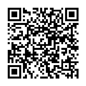 更别说是蓬莱秘境这个恐怖绝伦的护法大阵了……二维码生成