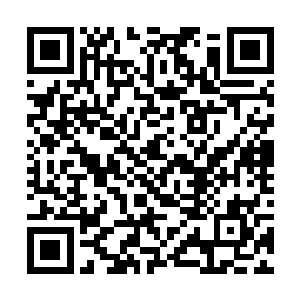 更加别这些明显比普通尸兵高了一个级别不知的东西二维码生成