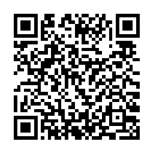 更喜她的真气转化真元灵力的能力似乎也强了好几倍二维码生成