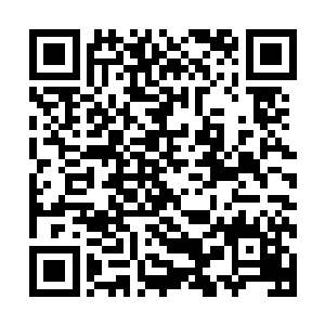 更因为当约瑟夫和萨摩拉带领着现场六百多名观众一起敲打起二维码生成