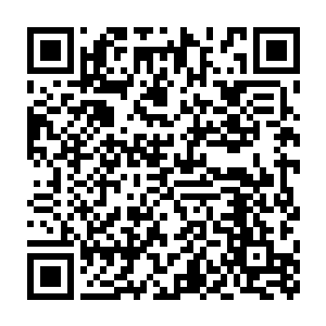 更多的中国游客还是冲着名气更大的巴黎又或者南法比如普罗旺斯二维码生成