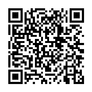 更多的人类修者随着对溃逃妖族的追杀也纷纷来到二维码生成