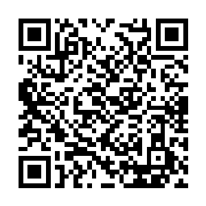 更多的是把目光放在了丁羽和两个小家伙的身上面二维码生成