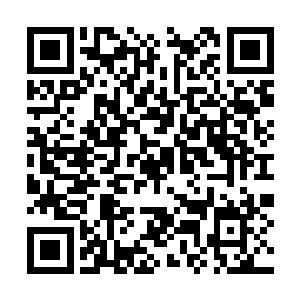 更是亲手布置出了一座跨星辰超远距离的空间法阵二维码生成