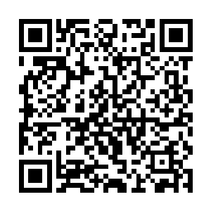 更是另辟蹊径的依靠吞噬吸收妖兽的精血来生长进化二维码生成