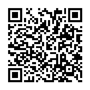 更是惊动了罗刹帮真正幕后当家大小姐――萧摇二维码生成