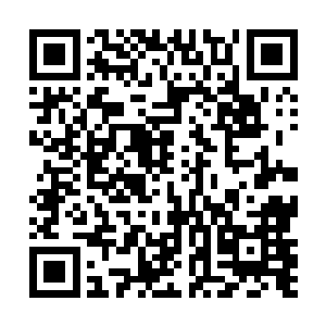 更是时刻不停的留意着周身方圆百丈范围内的一切动静二维码生成